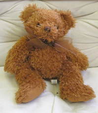 Teddybär 007.jpg
